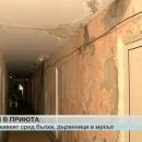 Мизерия в приют за бездомни във Варна, хората се оплакват от бълхи и дървеници