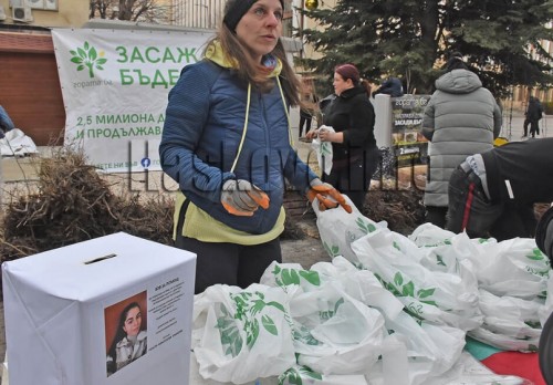 Поставиха дарителска кутия за Рени на огромната опашка за безплатни дръвчета в Хасково