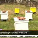 Училище обучава пчелари безплатно